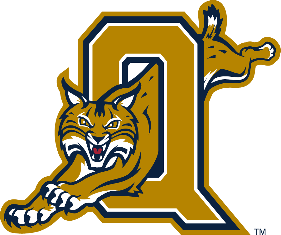 Quinnipiac Bobcats 2002-2017 Secondary Logo v2 diy iron on heat transfer